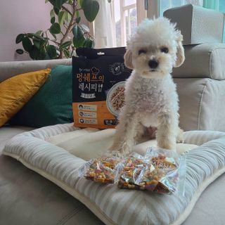bbingbbing_e님이 올린 리뷰 사진 2