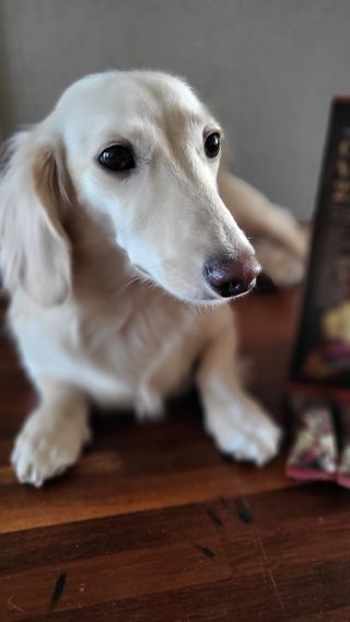 PDKIM님이 올린 리뷰 사진 2