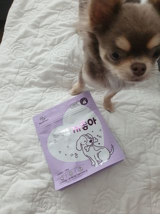My Pet Care 천연단백질 치아건강에 개좋아 — 1점을 준 리뷰어가 2021년 1월 올린 사용 사진