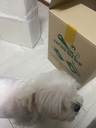 awedana님이 올린 리뷰 사진 2