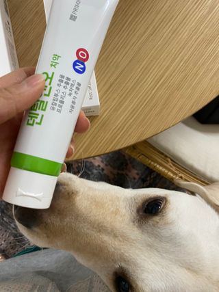 프리마인 유해균 뿐만 아니라 유익균까지 씻어내는 치약은 그만, 건강한 구강환경을 만드는 덴탈엔오 — 5점을 준 리뷰어가 2022년 1월 올린 사용 사진