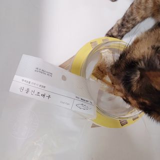 JENNY님이 올린 리뷰 사진 2