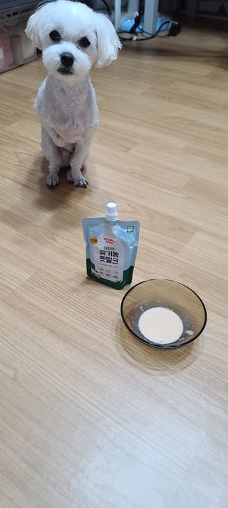 삐랭이님이 올린 리뷰 사진 4