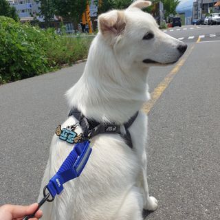 죠니님이 올린 리뷰 사진 1