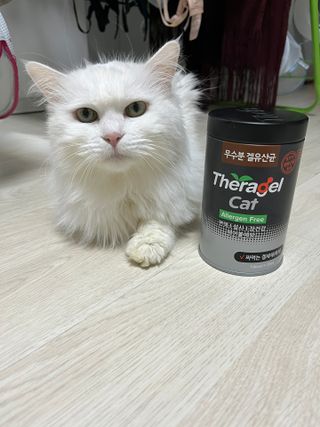 언제나님이 올린 리뷰 사진 1