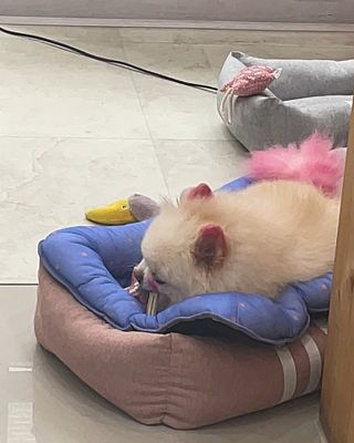 순이츠님이 올린 리뷰 사진 1