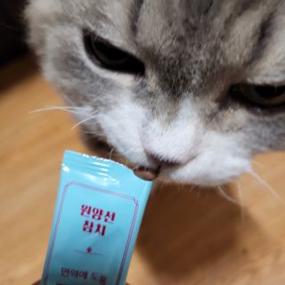 소이양님이 올린 리뷰 사진 1
