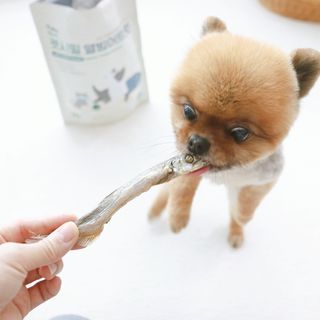 [펫시밀] 원물그대로 영양듬뿍 동결건조 왕북어트릿300g,왕치킨트릿400g,열빙어트릿300g 대용량 간식 — 5점을 준 리뷰어가 2023년 5월 올린 사용 사진