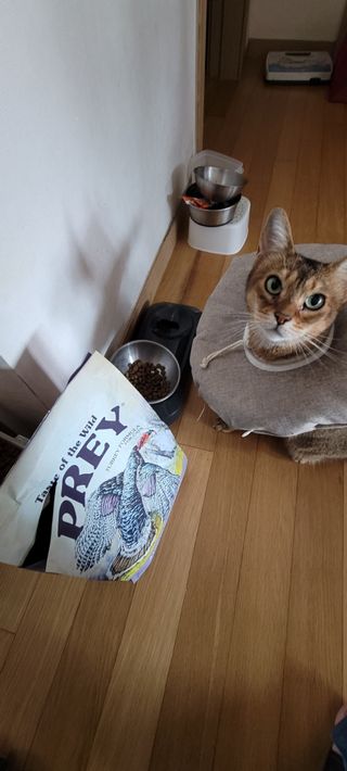 반짝님이 올린 리뷰 사진 1