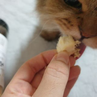 옹알이님이 올린 리뷰 사진 3
