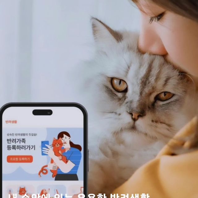 펫나우 리뷰 사진