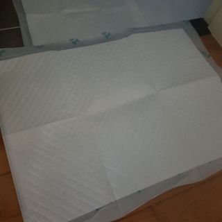 아베크 펫 와이드 프리미엄 중형 애견 강아지 배변 패드 54매 1팩 45g — 5점을 준 리뷰어가 2021년 7월 올린 사용 사진