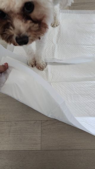 햇님달님님이 올린 리뷰 사진 3