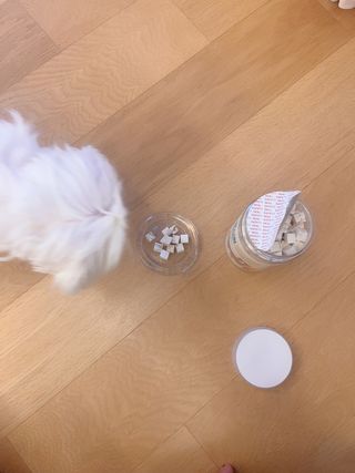 [펫시밀] 원물그대로 영양듬뿍 진공동결건조 북어트릿75g,치킨트릿100g,연어트릿75g 강아지 고양이 간식 — 5점을 준 리뷰어가 2023년 5월 올린 사용 사진