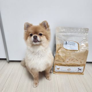 캐닌캐비어 알카라인 홀리스틱 그레이프리 앙뜨레 ALS_4종 오픈스카이, 와일드오션, 프리스피릿, 스페셜니즈 — 5점을 준 리뷰어가 2023년 4월 올린 사용 사진