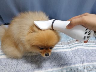 퍼스트캠퍼님이 올린 리뷰 사진 3