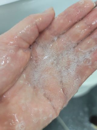 숑봉마미님이 올린 리뷰 사진 2
