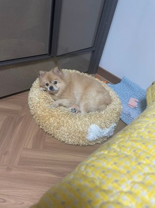 연떠님이 올린 리뷰 사진 2