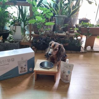 benny님이 올린 리뷰 사진 2