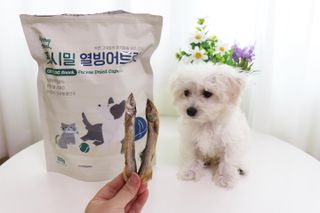 [펫시밀] 원물그대로 영양듬뿍 동결건조 왕북어트릿300g,왕치킨트릿400g,열빙어트릿300g 대용량 간식 — 4.5점을 준 리뷰어가 2023년 5월 올린 사용 사진