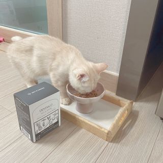[벳크로스] 덴타스코 고양이 1종 (구강&덴탈) / 2g x 30 — 5점을 준 리뷰어가 2023년 1월 올린 사용 사진