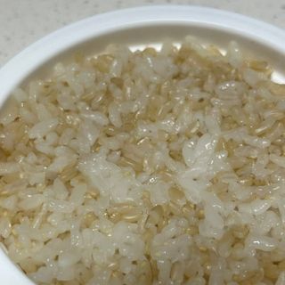 [구매평]양반 동원 양반 100밥 현미밥, 130g, 12개 — 5점을 준 리뷰어가 2025년 4월 올린 사용 사진