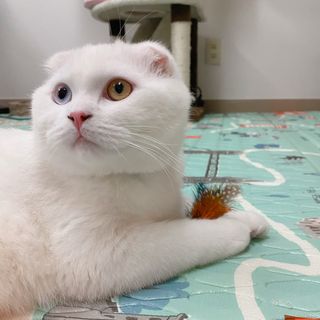 임히님이 올린 리뷰 사진 1