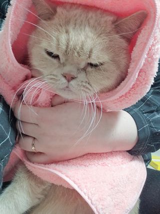 누구냐넌님이 올린 리뷰 사진 3