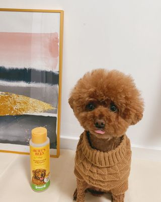 조이님이 올린 리뷰 사진 1