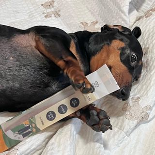 기뭉디님이 올린 리뷰 사진 3