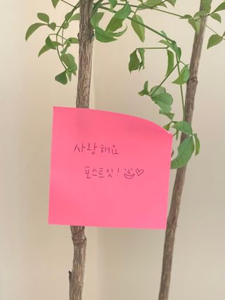 히원님이 올린 리뷰 사진 3