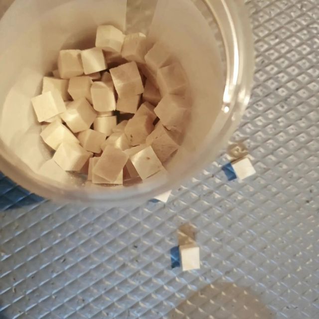 [펫시밀] 원물그대로 영양듬뿍 진공동결건조 북어트릿75g,치킨트릿100g,연어트릿75g 강아지 고양이 간식 리뷰 사진