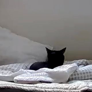 수린님이 올린 리뷰 사진 3