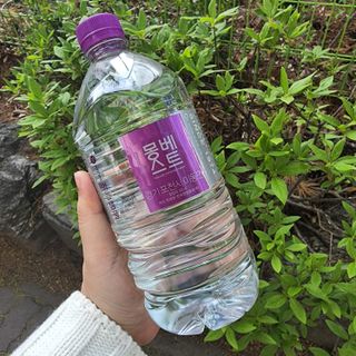 몽베스트 MONTBEST 1L 12입 — 5점을 준 리뷰어가 2022년 4월 올린 사용 사진