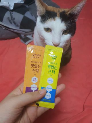페페로니 맛있는 스틱 - 무항생제 닭고기 15개 + 원양선 참치 15개 — 4점을 준 리뷰어가 2021년 8월 올린 사용 사진