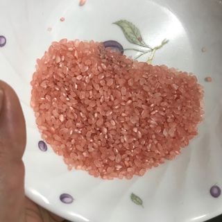 하나로라이스 기능성쌀 5종 1kg  환경을 생각한 다회용 용기 사용 — 5점을 준 리뷰어가 2022년 1월 올린 사용 사진