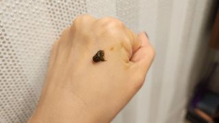 슘✰님이 올린 리뷰 사진 2