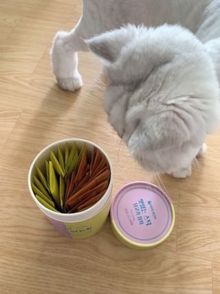 페페로니 맛있는 스틱 - 무항생제 닭고기 15개 + 원양선 참치 15개 — 4.5점을 준 리뷰어가 2021년 8월 올린 사용 사진