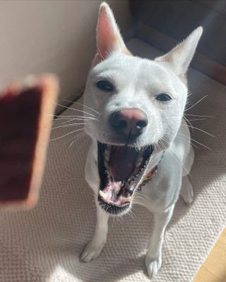 몽언니님이 올린 리뷰 사진 3