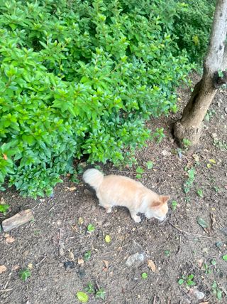 Lucy님이 올린 리뷰 사진 2