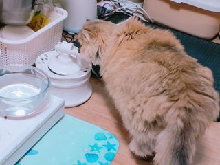 하린님이 올린 리뷰 사진 4