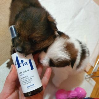 taehyun0114님이 올린 리뷰 사진 2