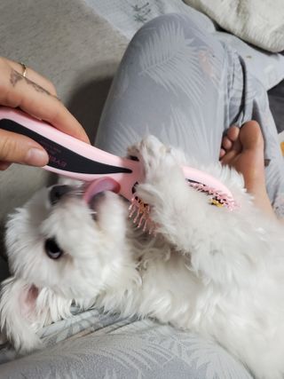 정은a님이 올린 리뷰 사진 1