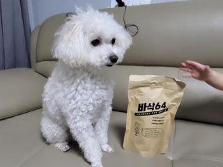 [보헤리] 국내산 강아지 육포간식 바삭 64 2종 — 5점을 준 리뷰어가 2022년 3월 올린 사용 사진