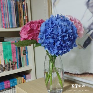 꼬물이님이 올린 리뷰 사진 4