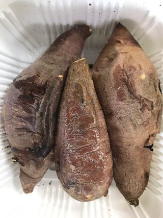 윤님이 올린 리뷰 사진 1