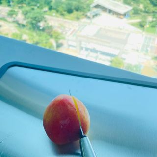 스탠서드16 스테인리스 316 양면 도마 — 5점을 준 리뷰어가 2022년 8월 올린 사용 사진