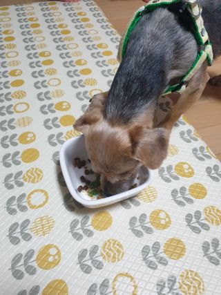 아르코♡님이 올린 리뷰 사진 2