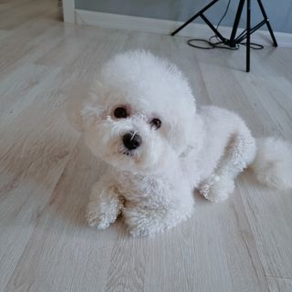 우주님이 올린 리뷰 사진 1