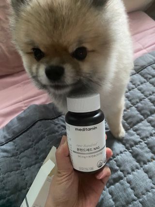 재문님이 올린 리뷰 사진 4